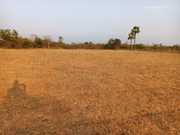 Two Acre land for sale 