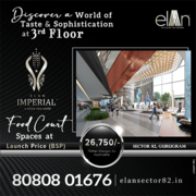 Elan Imperial Group Presents - 1st Luxury Mall of Gurugram